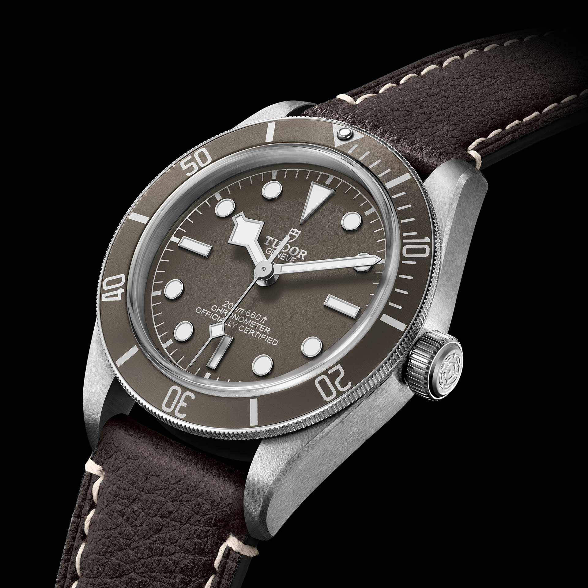 TUDOR Black Bay 58 925 with 39mm Silver Case and Brown Leather Bracelet