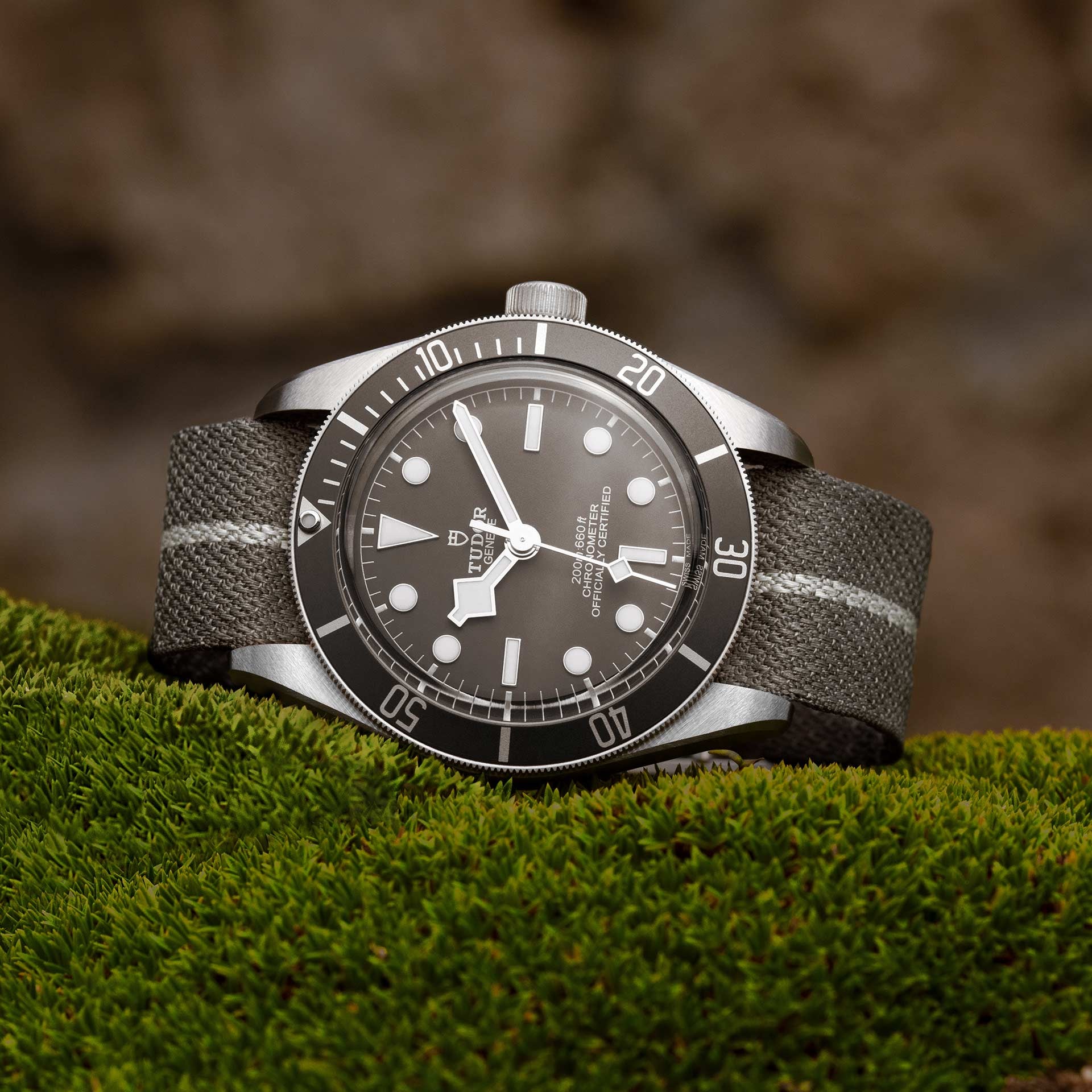 TUDOR Black Bay 58 925 with 39mm Silver Case and Taupe Fabric Strap