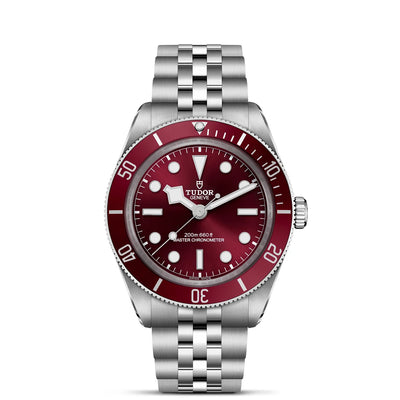 TUDOR Black Bay Watches - Brand Collection