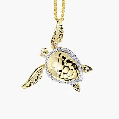 See Life - Brand Collection