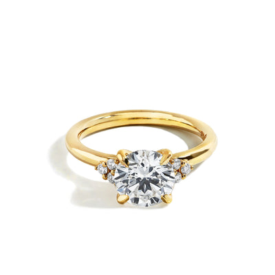 2 Carat Round Diamond With Trio Side Stones Engagement Ring - Private Label product