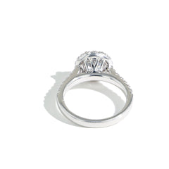 The Round Halo Pave Diamond Engagement Ring White Gold Setting