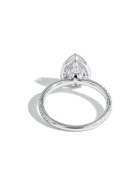 The Halo Pavé Engagement Ring