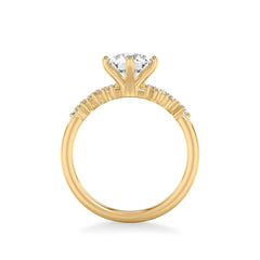 Round Cluster Diamond Engagement Ring Setting