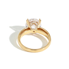 Robert Pelliccia Breathless Engagement Setting