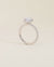 The Halo Pavé Engagement Ring