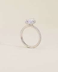 The Halo Pavé Engagement Ring