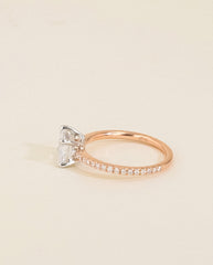 The Round Solitaire Pave Engagement Ring in Platinum