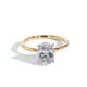 Yellow Gold / White Gold Prongs