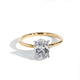 Yellow Gold / Platinum Prongs