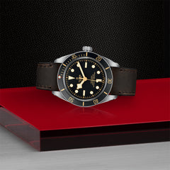 TUDOR Black Bay 58 with 39mm Steel Case and Brown Leather Strap