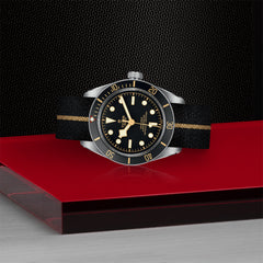 TUDOR Black Bay 58 with 39mm Steel Case and Fabric Strap