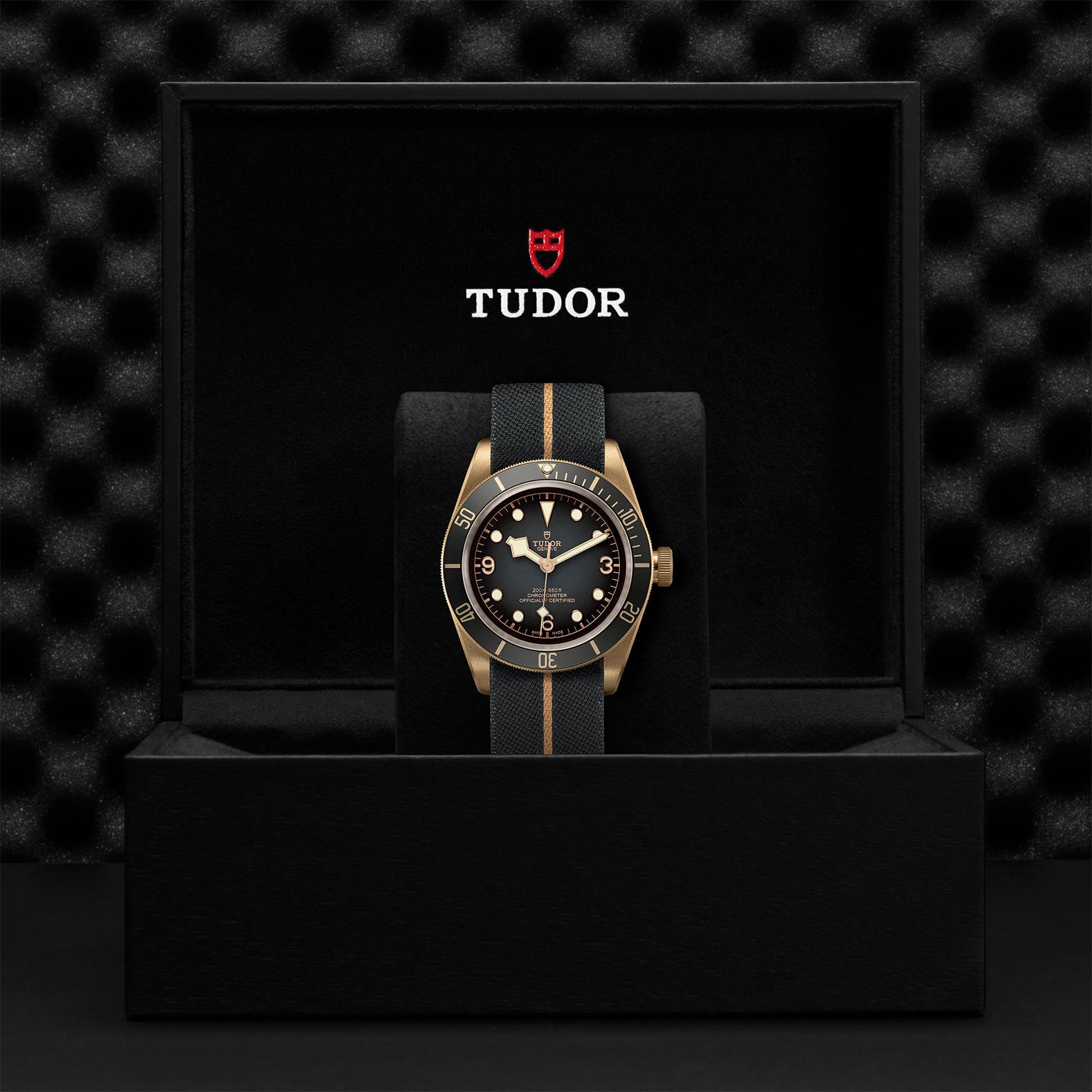 TUDOR Black Bay Bronze with 43mm Bronze Case and Fabric Strap