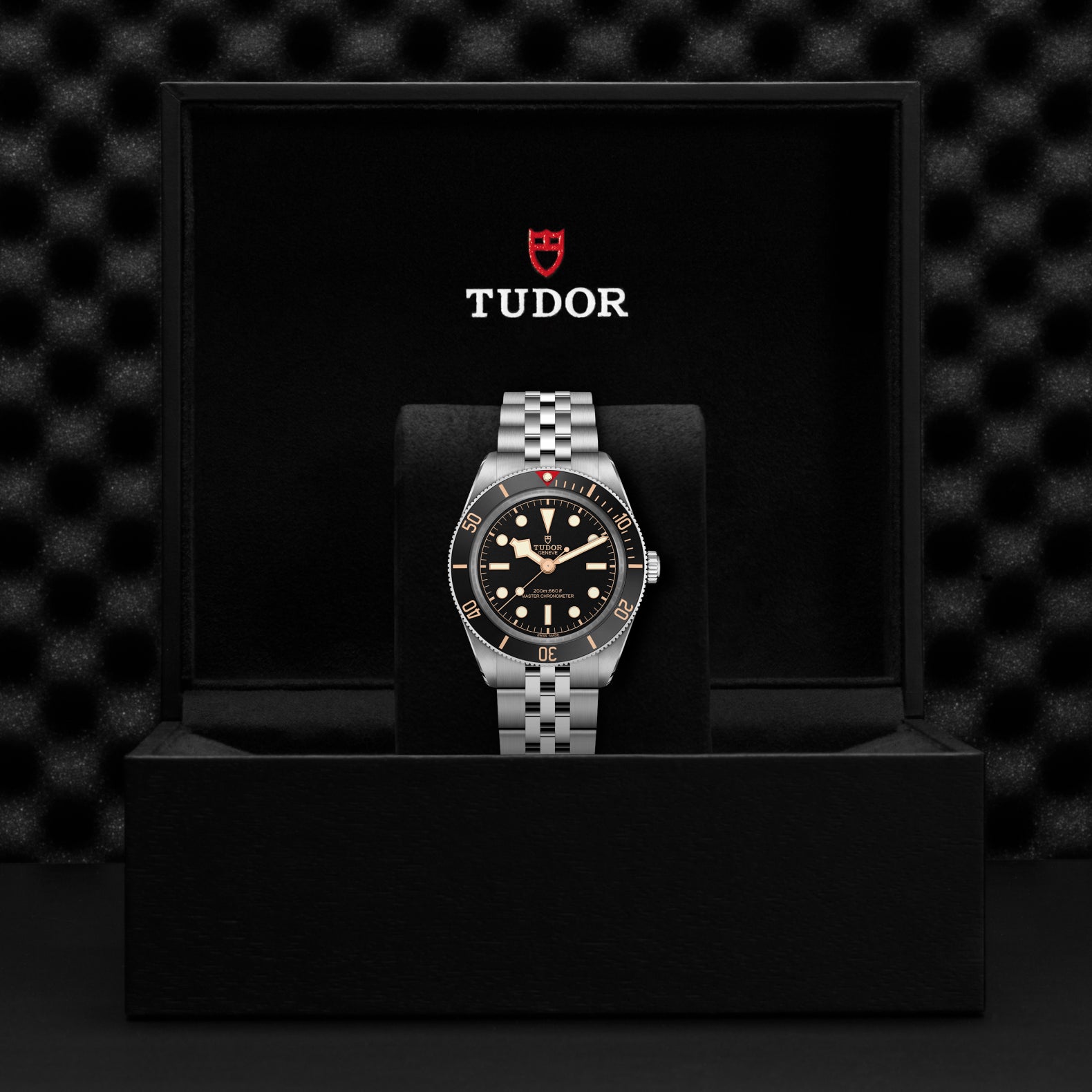 TUDOR Black Bay 58 with 39mm Steel Case and 5-Link Bracelet