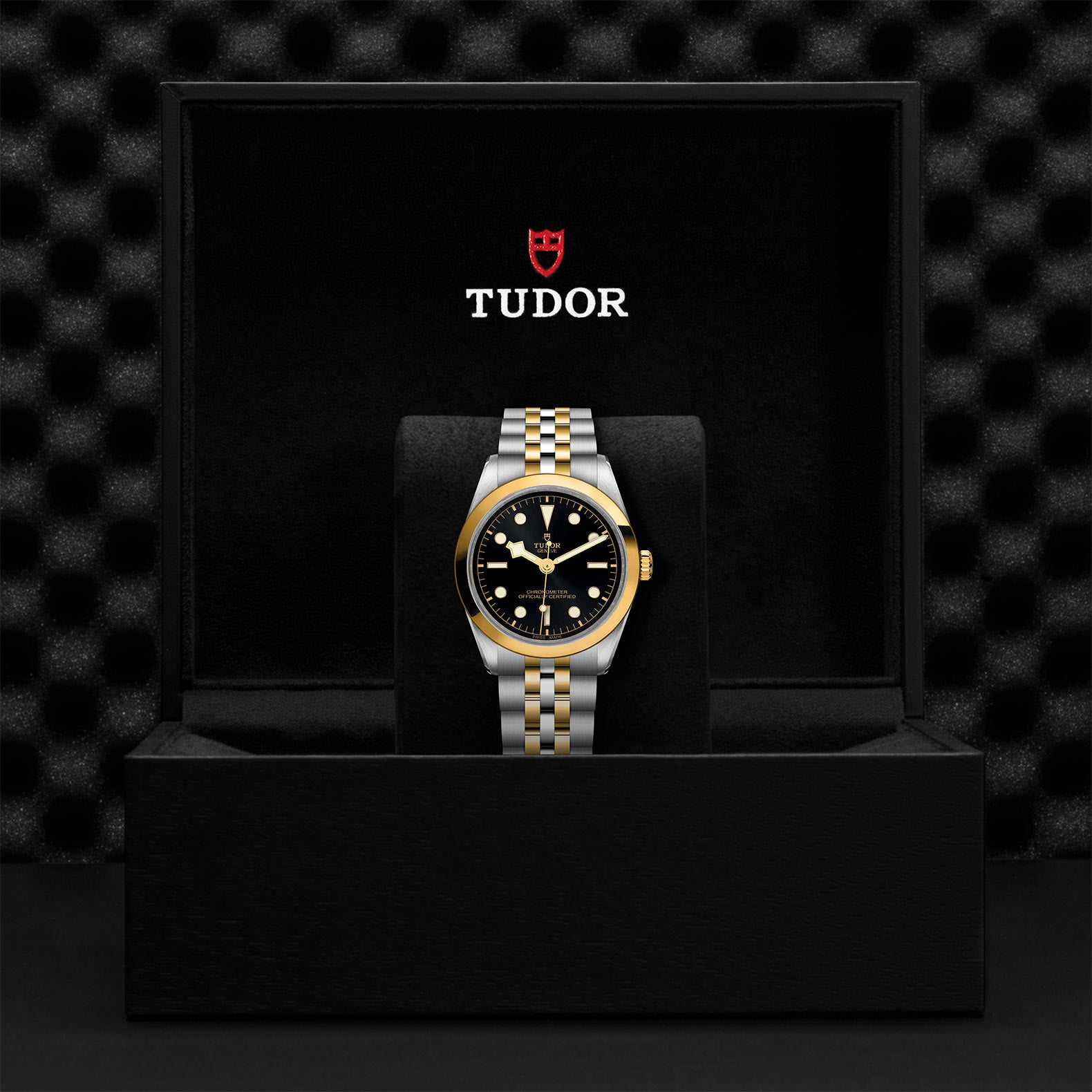 TUDOR Black Bay 36 S&G with 36mm Steel Case and Steel And Yellow Gold Bracelet