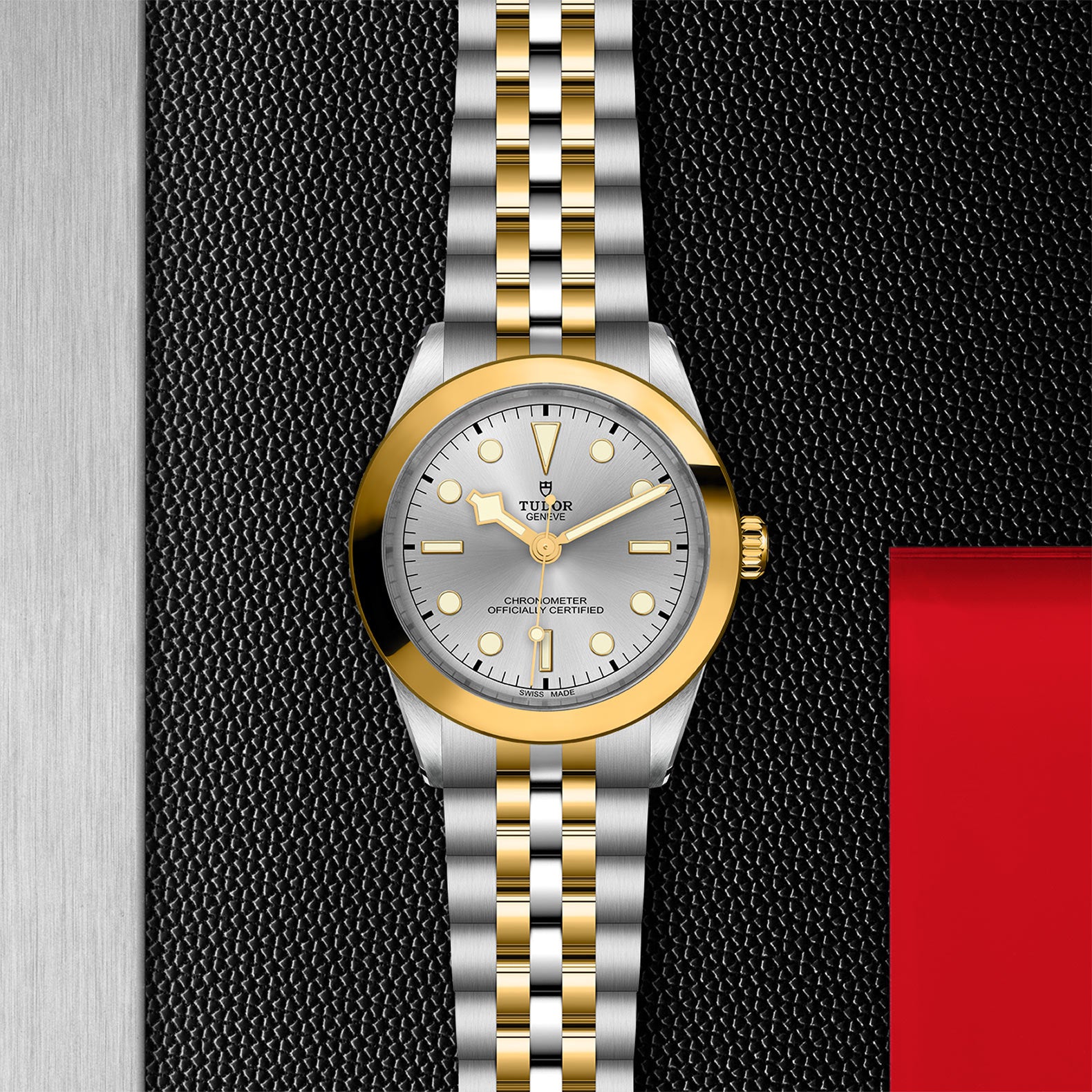TUDOR Black Bay 39 S&G with 39mm Steel Case and Steel And Yellow Gold Bracelet