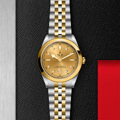 TUDOR Black Bay 41 S&G with 41mm Steel Case and Steel And Yellow Gold Bracelet
