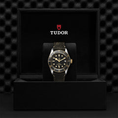 TUDOR Black Bay S&G with 41mm Steel Case and Aged Leather Strap
