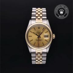 Oyster Perpetual Datejust 36