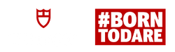 Tudor Official Logo