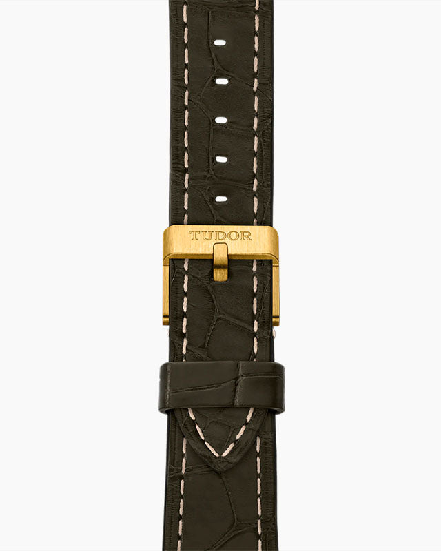 TUDOR Black Bay 58 18k with 39mm Yellow Gold Case and Brown Alligator Bracelet