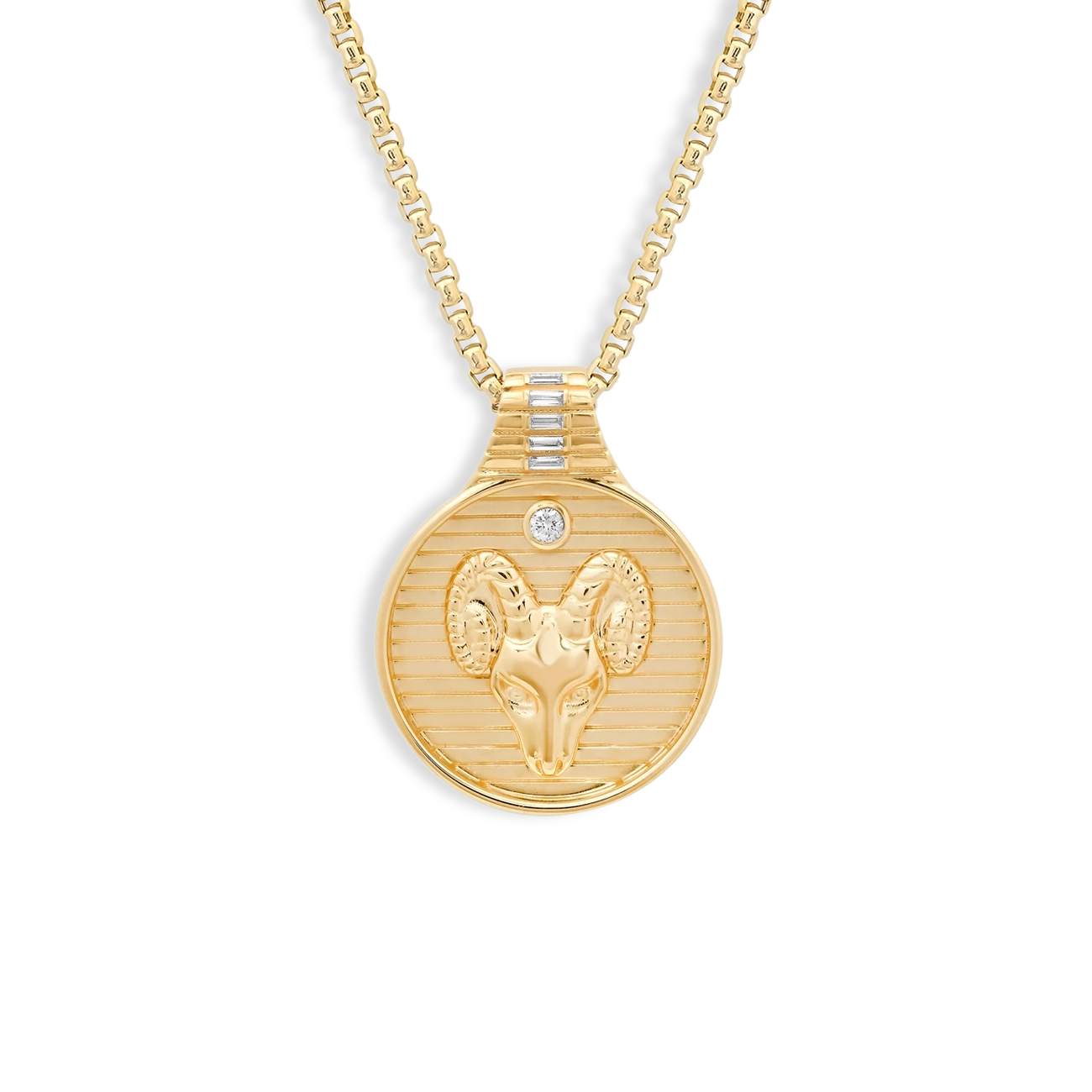 Helena Rose Zodiac Medallion Pendant Necklace