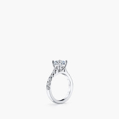 Cathedral ring setting side profile