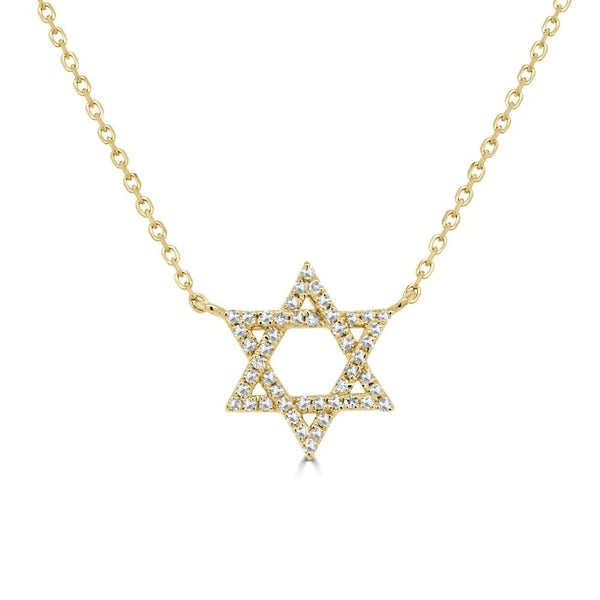 Private Label Star of David Diamond Necklace