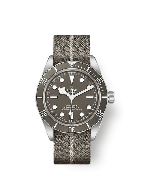 TUDOR Black Bay 58 925 with 39mm Silver Case and Taupe Fabric Strap