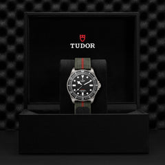 TUDOR Pelagos FXD Titanium 42mm watch with Forest Green Strap