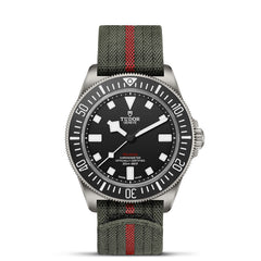 TUDOR Pelagos FXD Titanium 42mm watch with Forest Green Strap