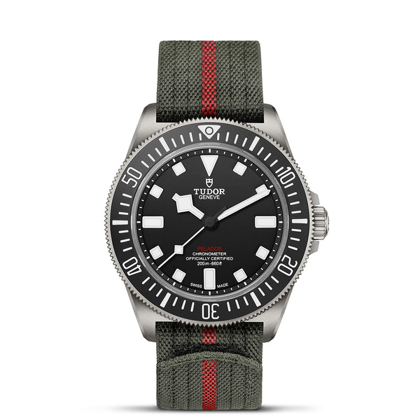 TUDOR Pelagos FXD Titanium 42mm watch with Forest Green Strap