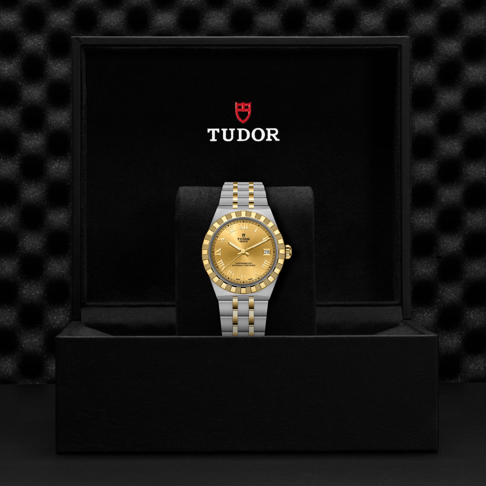 TUDOR Royal with 36mm Steel and Gold with Champagne Dial