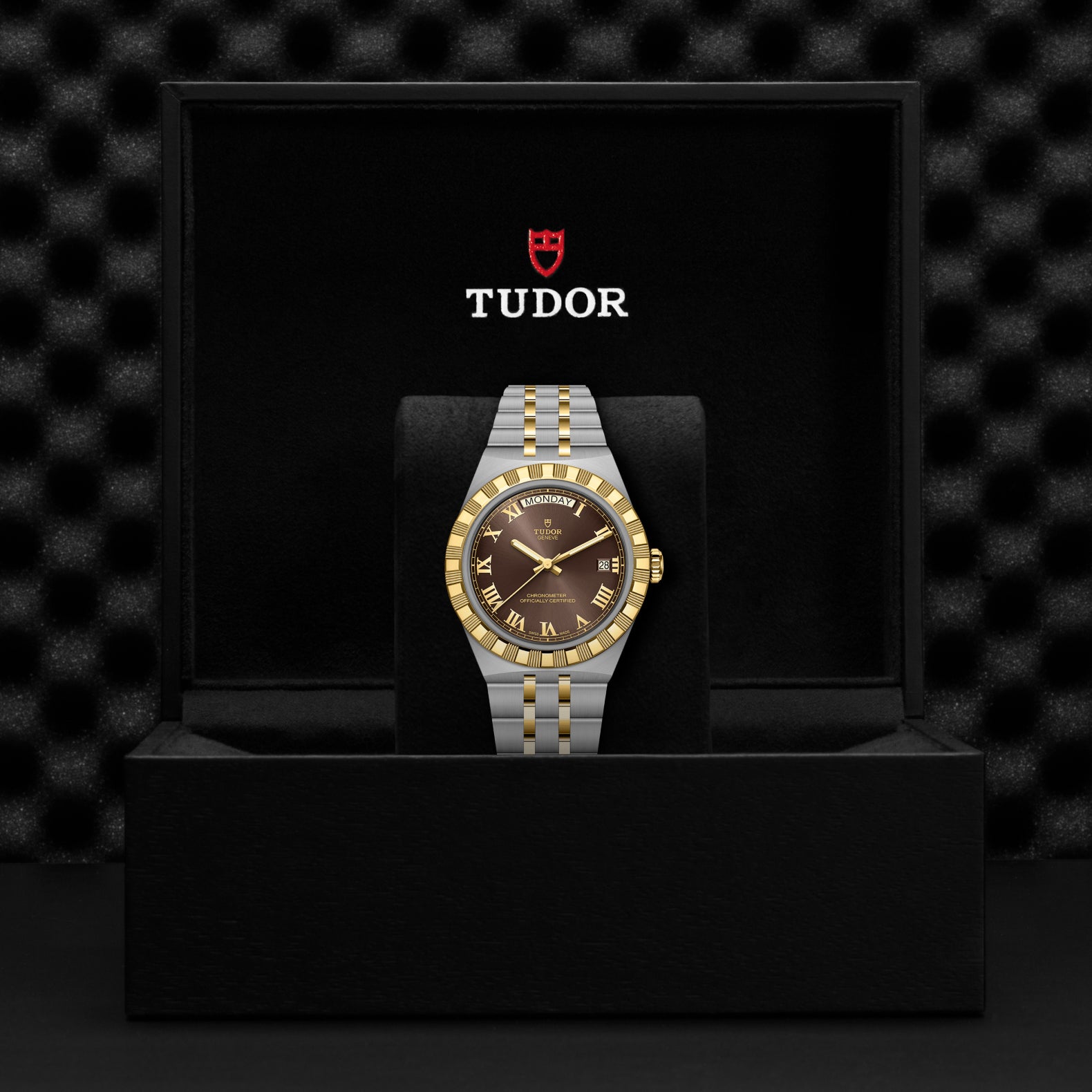 TUDOR Royal 40mm Steel and Yellow Gold with Brown Dial