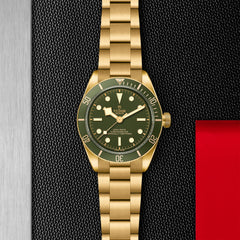 TUDOR Black Bay 58 18K with 39mm Case