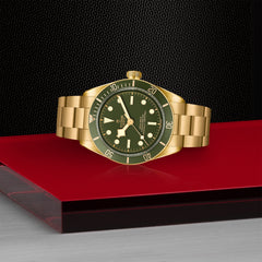 TUDOR Black Bay 58 18K with 39mm Case