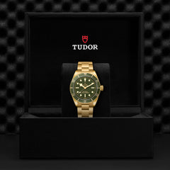 TUDOR Black Bay 58 18K with 39mm Case