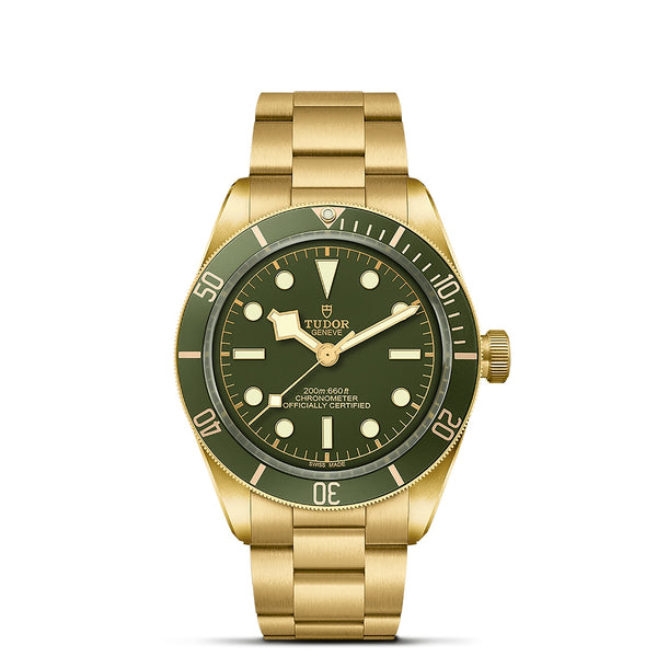 TUDOR Black Bay 58 18K with 39mm Case