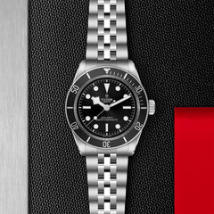 TUDOR Black Bay Monochromatic 41mm Steel Case and 5 Link Steel Bracelet