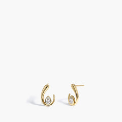 Paramount Gems 0.50 Carat Diamond Earrings in 14K Yellow Gold