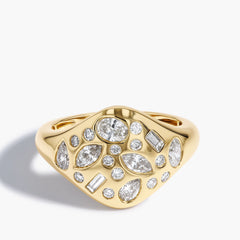Paramount Gems 1.13 Carat Multi-Shape Diamond Signet Ring in 14K Yellow Gold