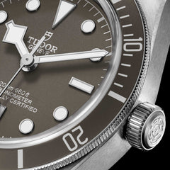 TUDOR Black Bay 58 925 with 39mm Silver Case and Taupe Fabric Strap
