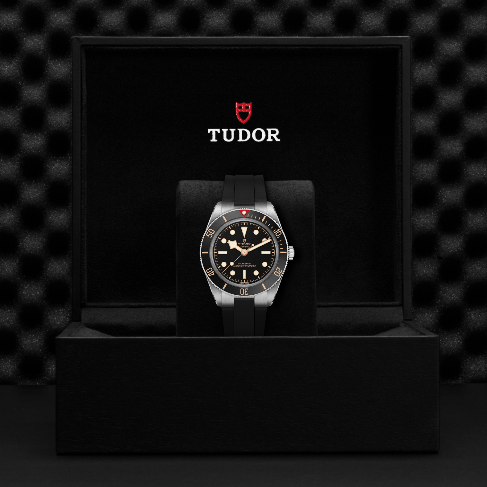 TUDOR Black Bay 58 with 39mm Steel Case on Rubber Strap