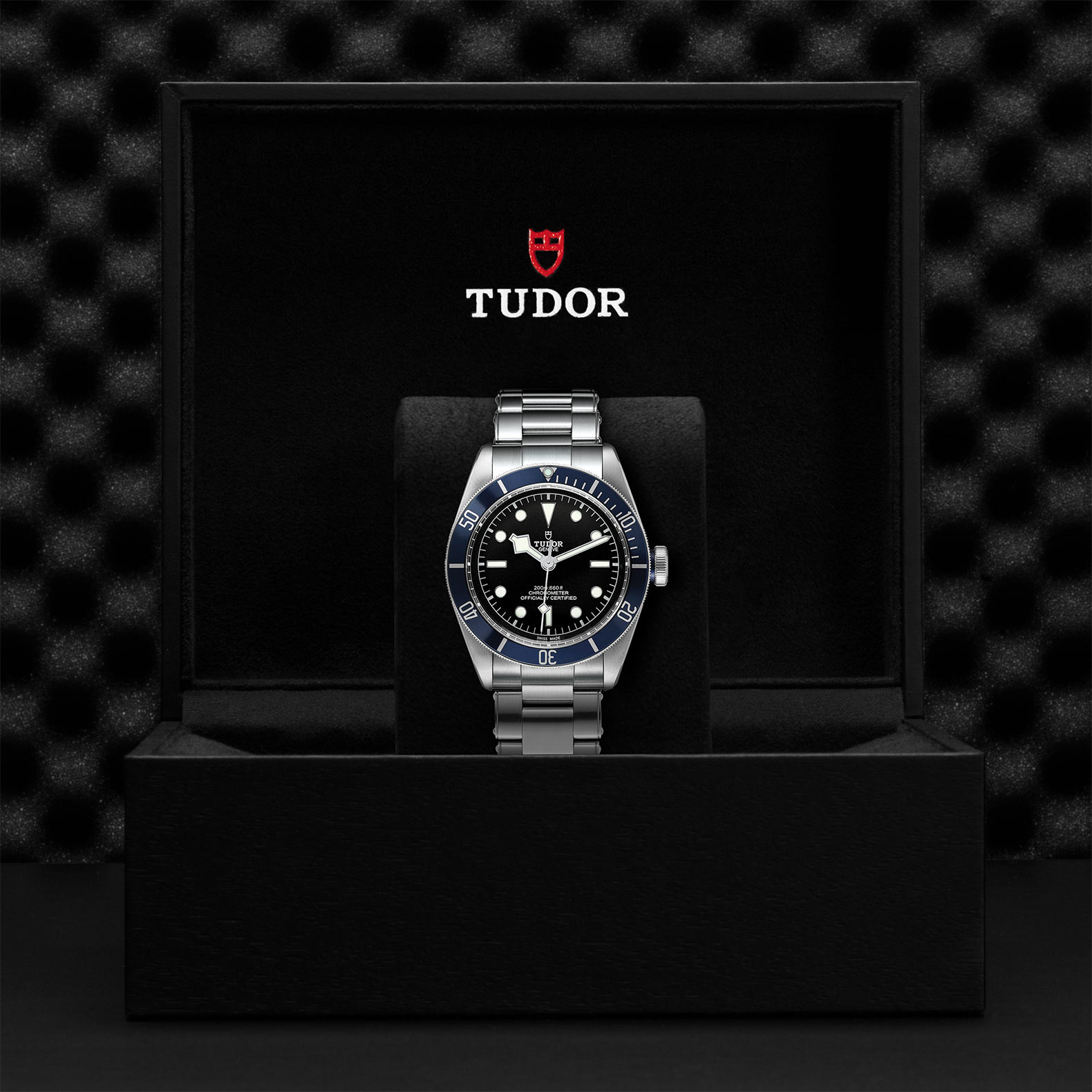 TUDOR Black Bay Watch in Presentation Box