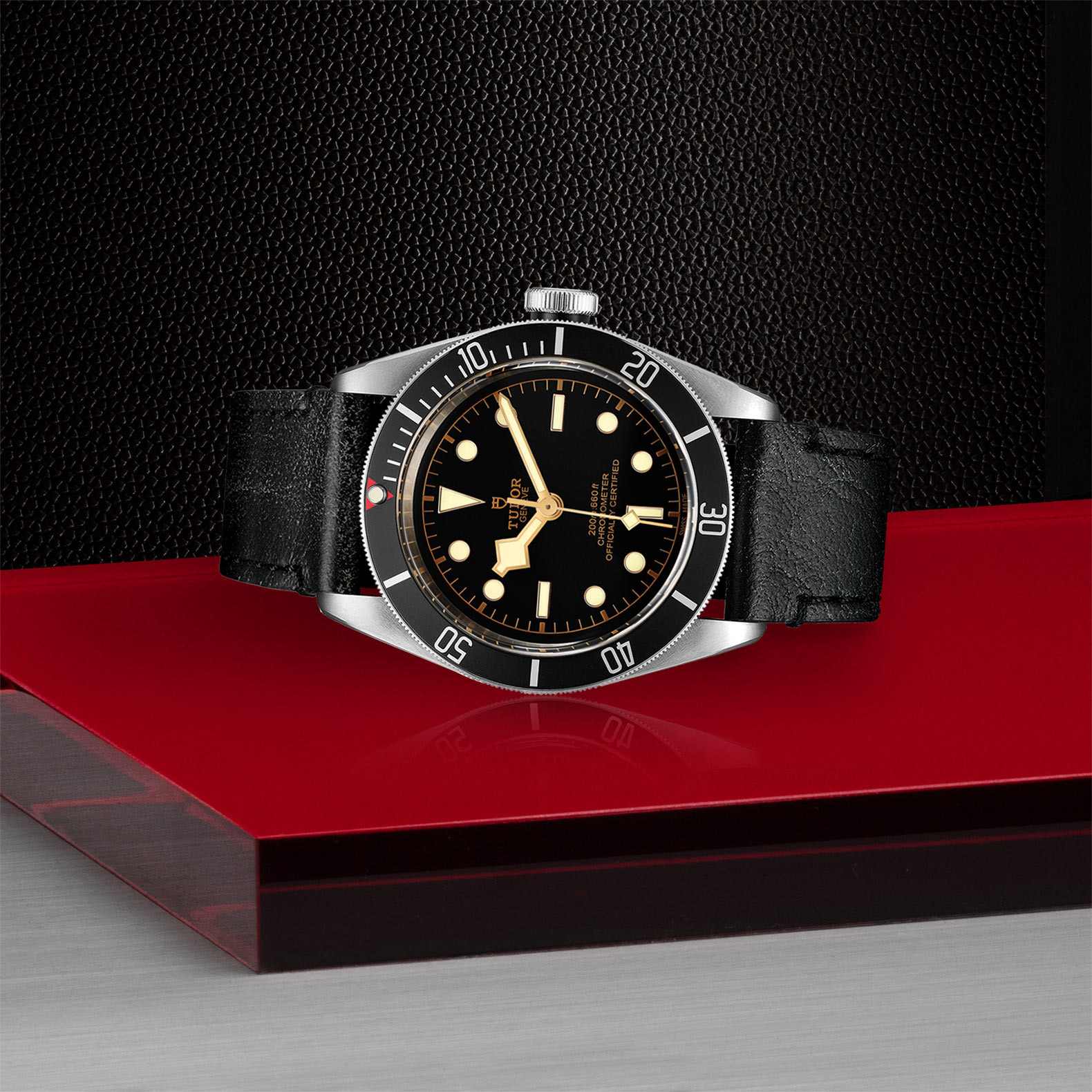 TUDOR Black Bay Watch in Store Laying Down