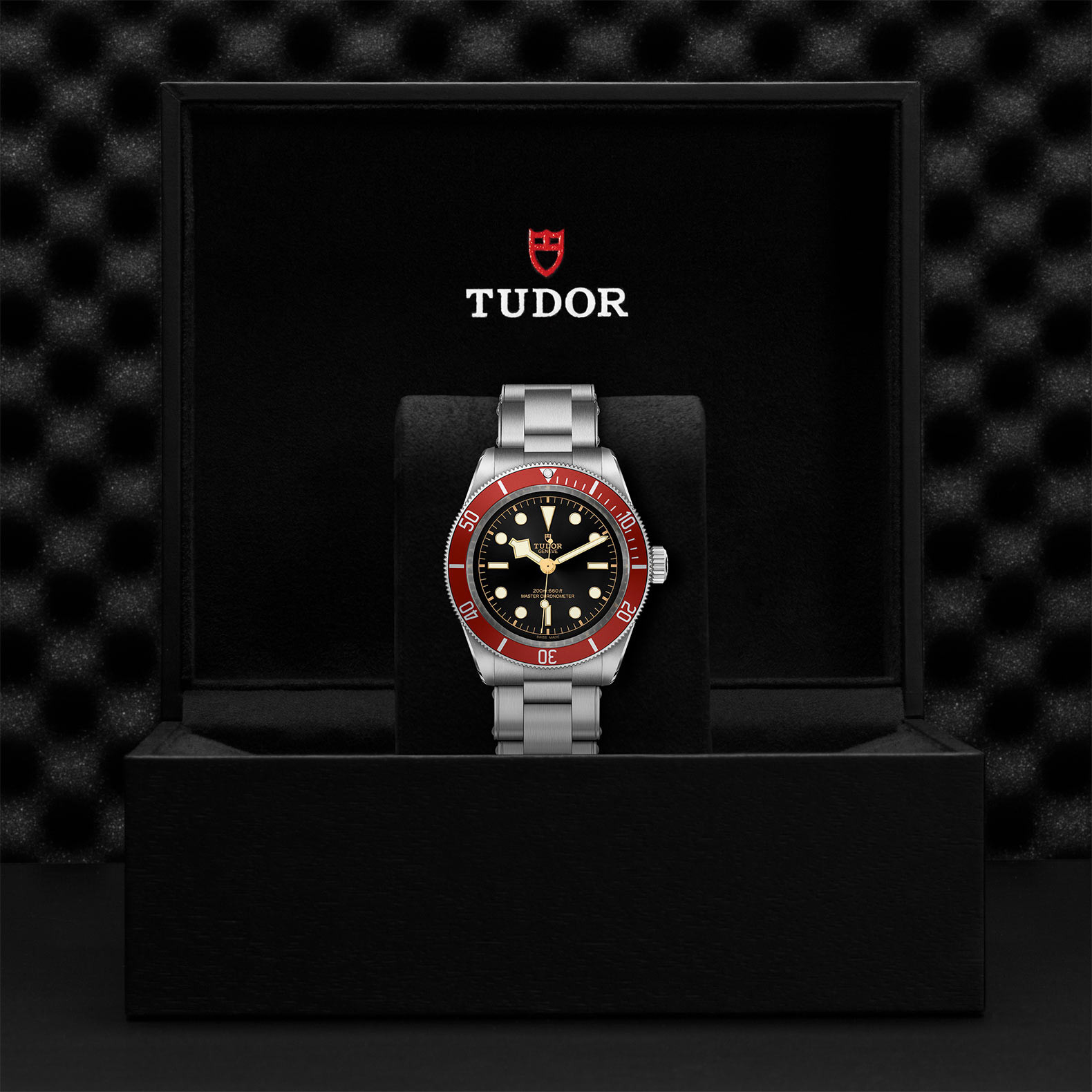 TUDOR Black Bay with 41mm Steel Case and Steel Bracelet M7941A1A0RU-0001 Watch in Presentation Box