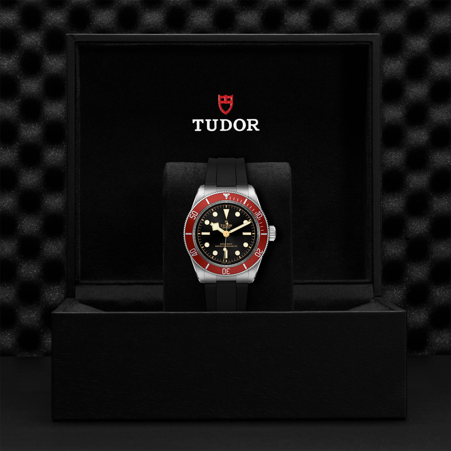 TUDOR Black Bay with 41mm Steel Case and Black Rubber Strap M7941A1A0RU-0002 Watch in Presentation Box