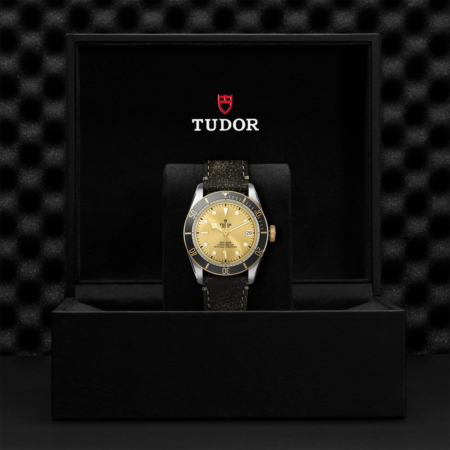 TUDOR Black Bay S&G Watch in Presentation Box