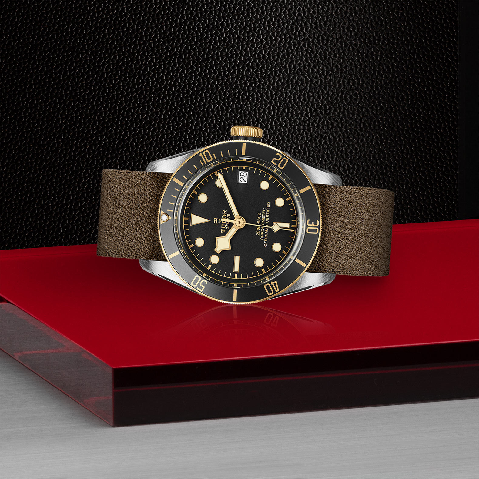 TUDOR Black Bay S&G Watch in Store Laying Down