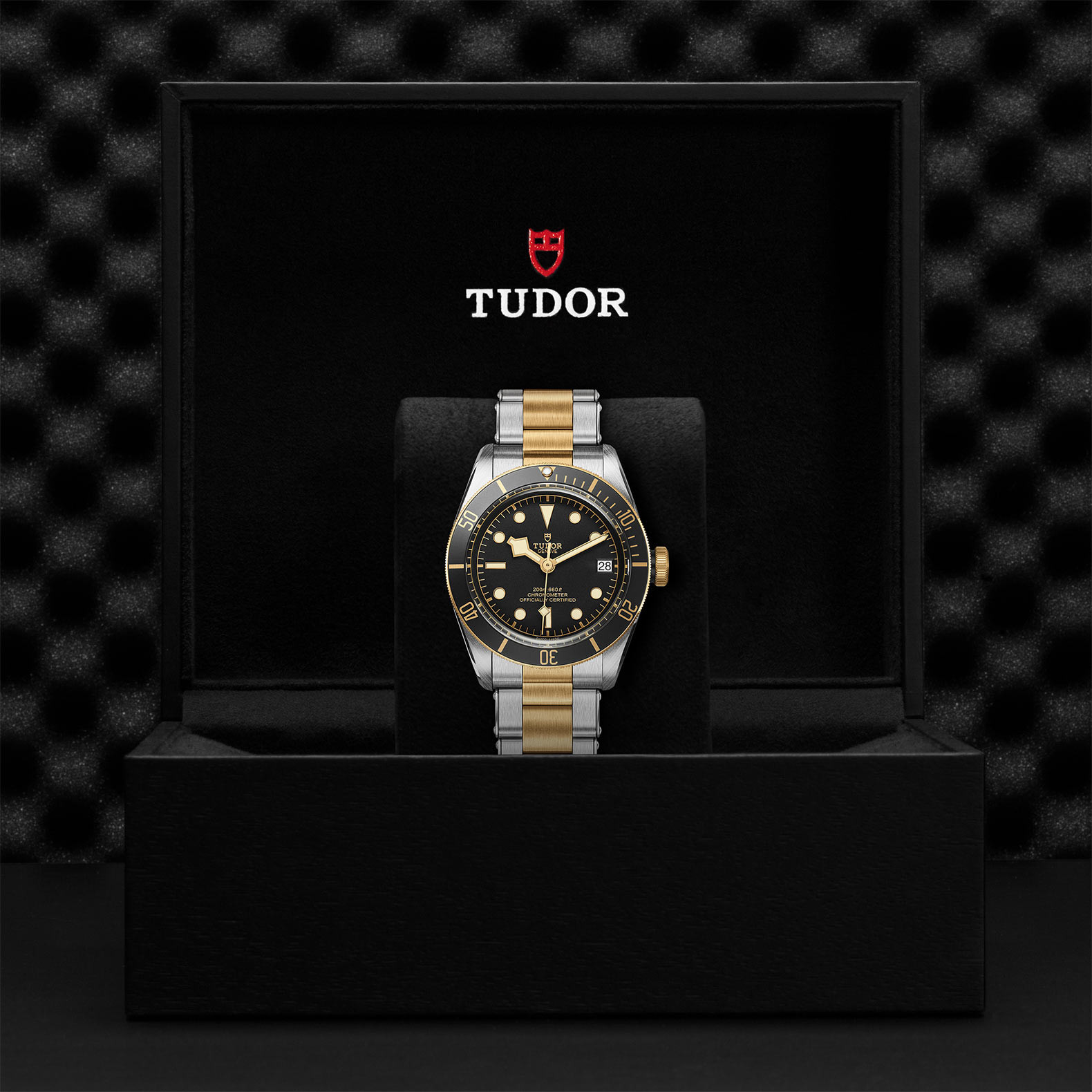 TUDOR Black Bay S&G Watch in Presentation Box